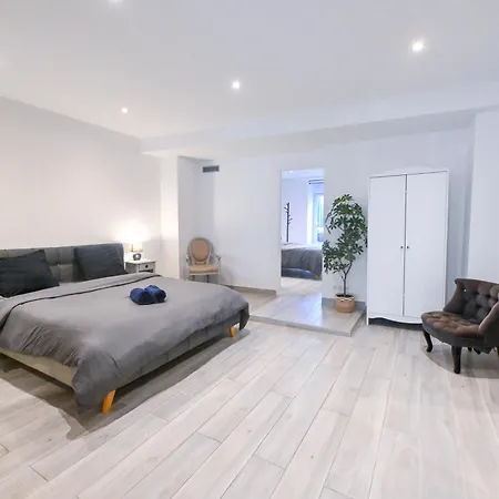 Appartement Loft Place Masséna Avec Terrasse